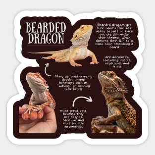 Animal Facts - Bearded Dragon Sticker